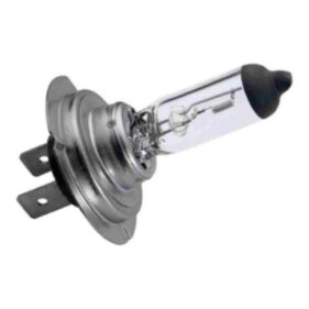 Bombillas H7 Lámparas 12v 55w Halógenas